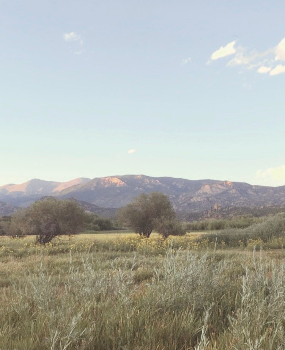 Headed West Poetry by William Barnett
